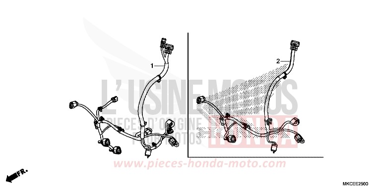 CORDON AUXILIAIRE de Gold Wing DARKNESS BLACK METALLIC (NH463) de 2019